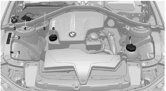 Important features in the engine compartment