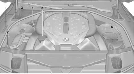 Important features in the engine compartment