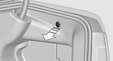 Pull the green knob with the fuel pump symbol.